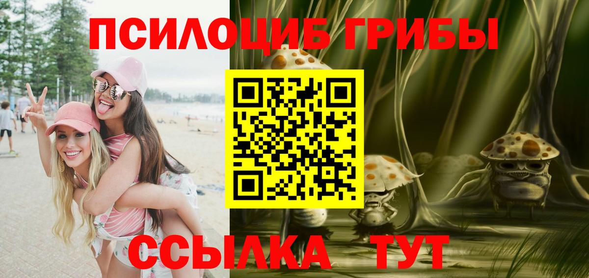 Псилоцибиновые грибы Psilocybine cubensis  Вход с VPN  Жигулёвск  Псилоцибиновые грибы Psilocybine cubensis 