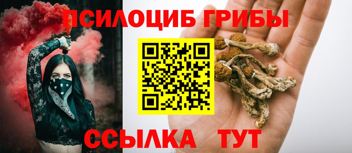 Галлюциногенные грибы прущие грибы Жигулёвск